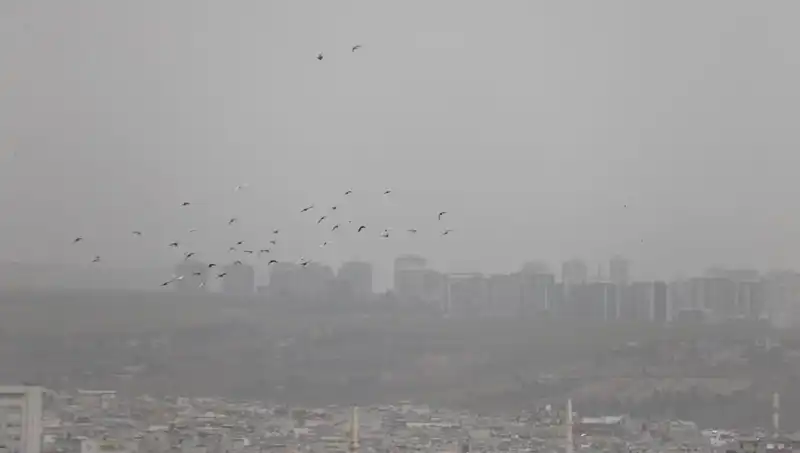 Şanlıurfa'da Hayat Durdu: Kent Toz Bulutuyla Kaplandı!