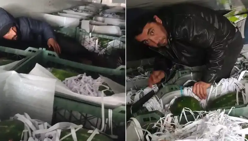 Karpuzların Arasından Sızan Göçmenler, Yeni Bir Krizin Habercisi Mi?